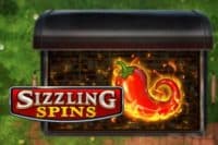 Sizzling Spins Slot