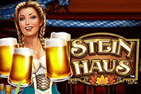 Stein Haus Slot