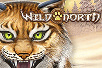 Wild North Slot