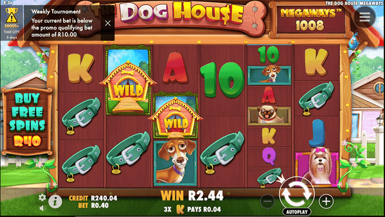 Dog House