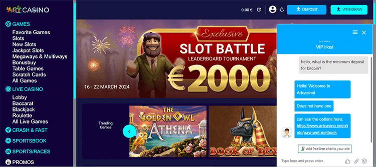 art casino support