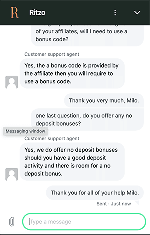 Ritzo support