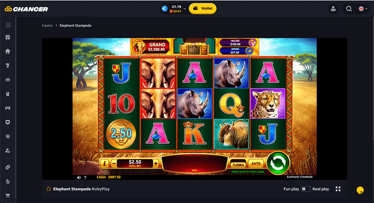 Chancer bet elephant stampede