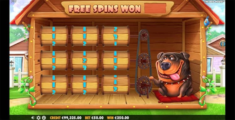 powbet casino free spin