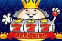 Reel King Slot