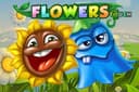 Flowers Slot