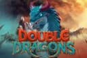 Double Dragons Slot Machine