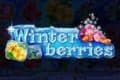 Winterberries Slot