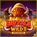 Buffalo Goes Wild II