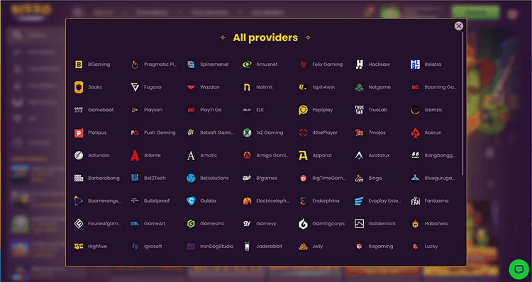 bizzo Providers