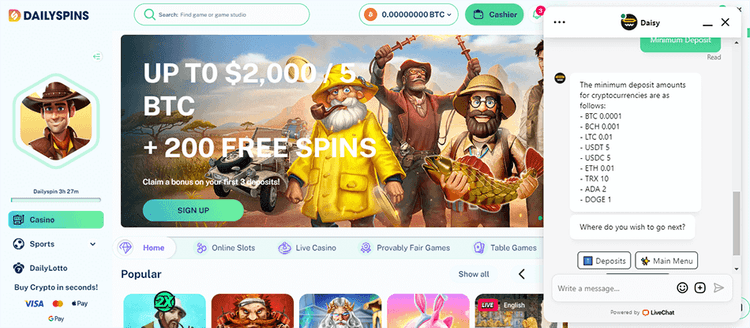 Daily Spins Casino support