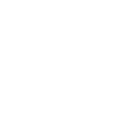 Buran