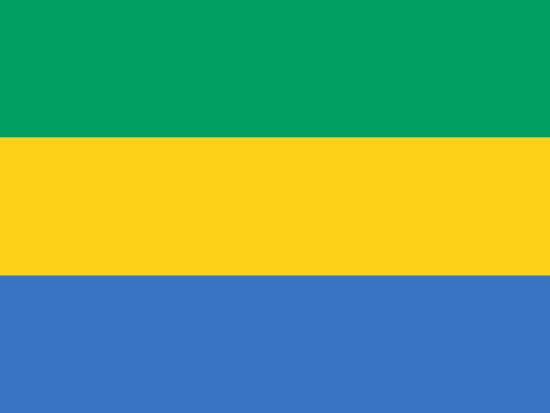 GA flag