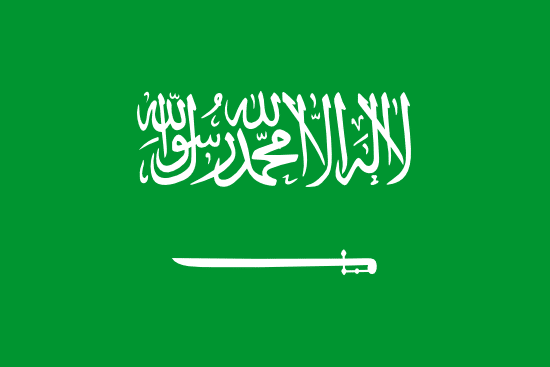 SA flag