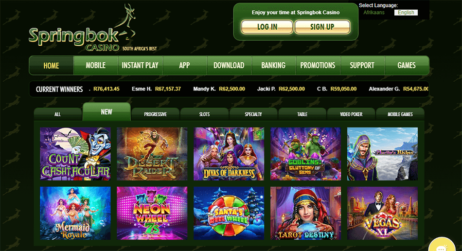 Springbok Casino Review 2024 Bonus & Games
